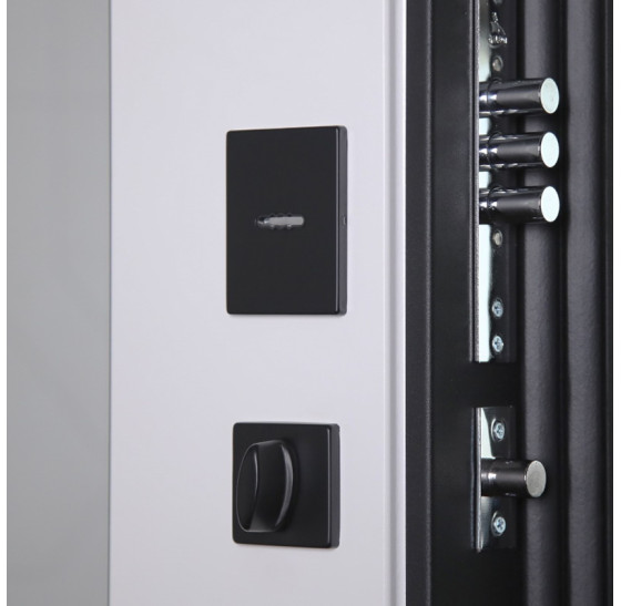 Стальная дверь "Loft" с зеркалом (адаптивная замковая часть). | Порошковое покрытие 