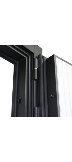 Стальная дверь "Planum". Заказная модель. | Порошковое покрытие 