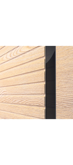 Стальная дверь "Antro". Заказная модель. | Порошковое покрытие 