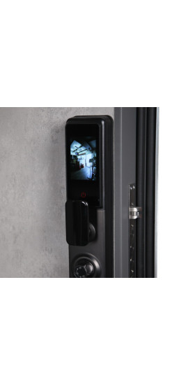 Стальная дверь "Сантос". Заказная модель. | Порошковое покрытие 