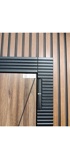 Стальная дверь "Берилл" с зеркалом (биометрический замок Y23). Заказная модель. | Порошковое покрытие 