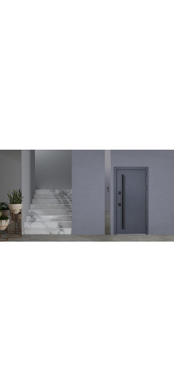 Стальная дверь "Статус". Заказная модель. | Порошковое покрытие 