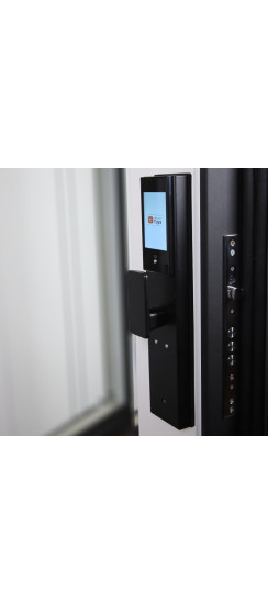 Стальная дверь "Берилл" с зеркалом (биометрический замок DZ 888). Заказная модель. | Порошковое покрытие 