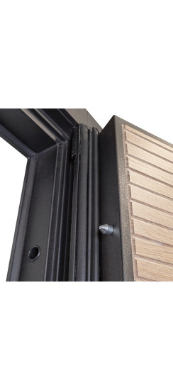 Стальная дверь "Antro". Заказная модель. | Порошковое покрытие 