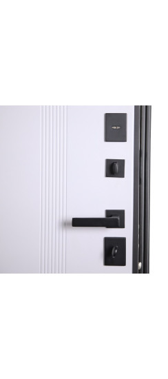 Стальная дверь "Статус". Заказная модель. | Порошковое покрытие 