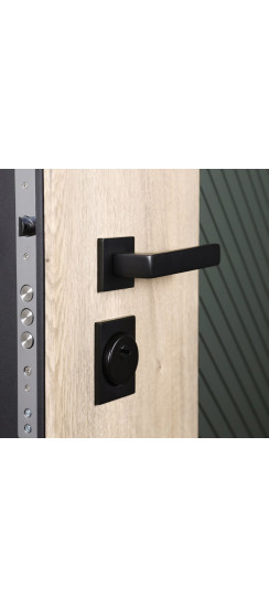 Стальная дверь «Vertu» (адаптивная замковая часть). Заказная модель. | Порошковое покрытие 