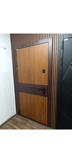 Стальная дверь "Денвер"  (биометрический замок). Заказная модель. | Порошковое покрытие 