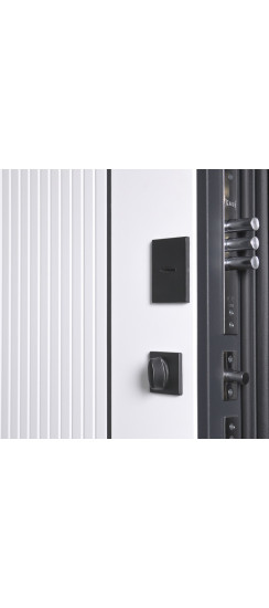 Стальная дверь "Форпост". Заказная модель. | Порошковое покрытие 