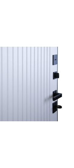 Стальная дверь "Planum". Заказная модель. | Порошковое покрытие 