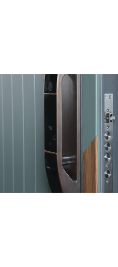 Стальная дверь "Эрвин". Заказная модель. | Порошковое покрытие 