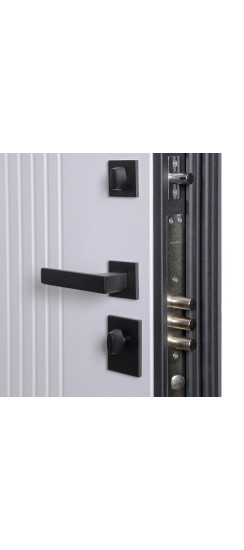 Стальная дверь "Divina". Заказная модель. | Порошковое покрытие 