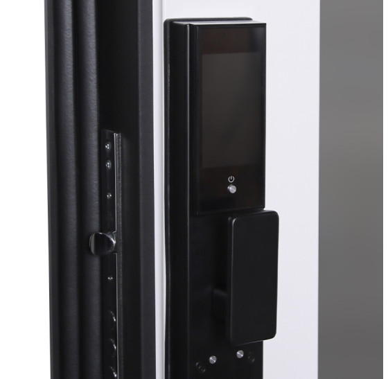 Стальная дверь "Silver" с зеркалом (биометрический замок) | Порошковое покрытие 