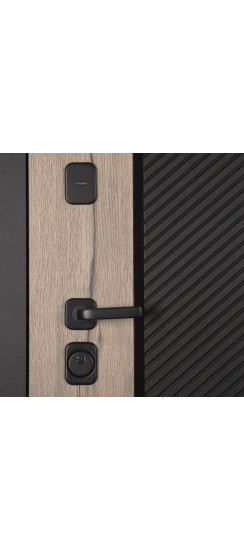 Стальная дверь "Монако". Заказная модель. | Порошковое покрытие 