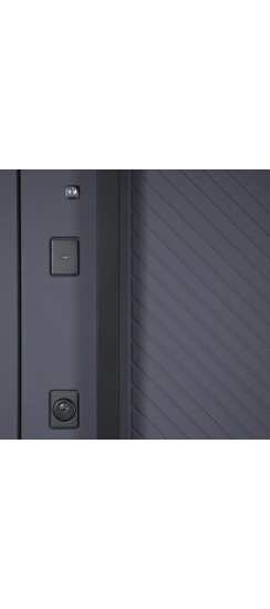 Стальная дверь "Статус". Заказная модель. | Порошковое покрытие 