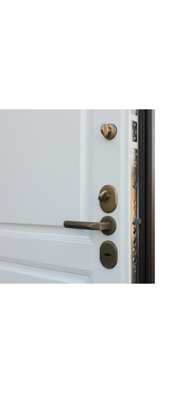 Стальная дверь "Фараон". Заказная модель. | Два цвета покрытия коробки: внешняя сторона - 