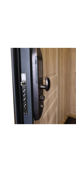 Стальная дверь "Эрвин". Заказная модель. | Порошковое покрытие 