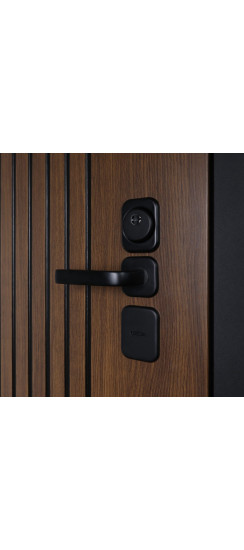 Стальная дверь «Sena» с зеркалом. Заказная модель. | Порошковое покрытие 