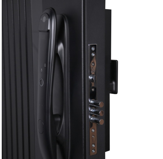 Стальная дверь "Silver" с зеркалом (биометрический замок) | Порошковое покрытие 