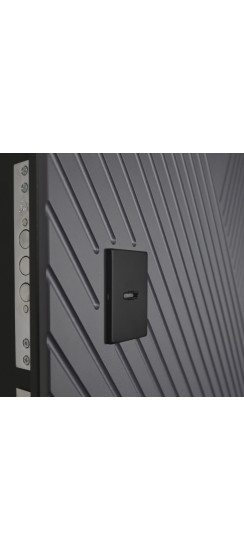 Стальная дверь "Бастион" с зеркалом (биометрический замок) | Порошковое покрытие 