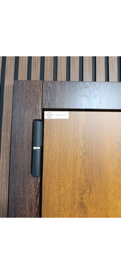 Стальная дверь "Денвер"  (биометрический замок). Заказная модель. | Порошковое покрытие 