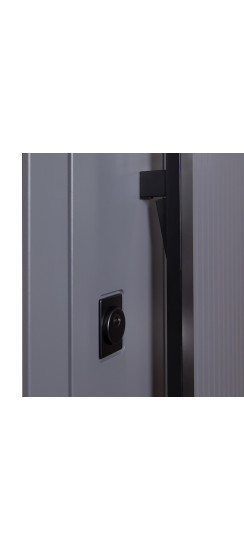 Стальная дверь "Divina". Заказная модель. | Порошковое покрытие 