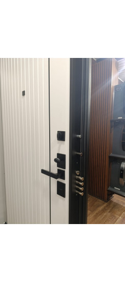 Стальная дверь "Freedom" Заказная модель. | Порошковое покрытие 