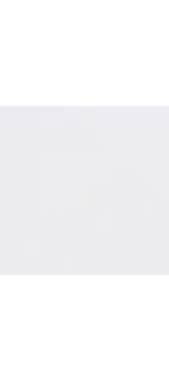 Стальная дверь "Агава" с зеркалом. Заказная модель. | Порошковое покрытие 