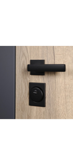 Стальная дверь "Бастион"  (адаптивная замковая часть). Заказная | Порошковое покрытие 