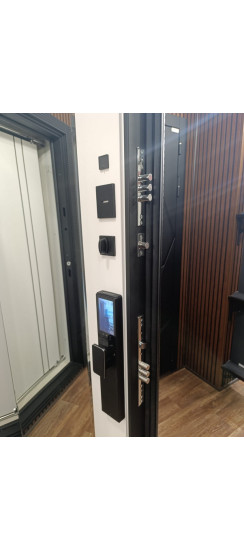 Стальная дверь "Берилл" с зеркалом (биометрический замок Y23). Заказная модель. | Порошковое покрытие 