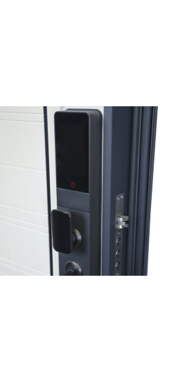 Стальная дверь "Traust". Заказная модель. | Порошковое покрытие 