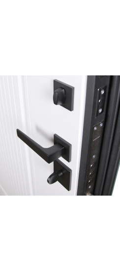 Стальная дверь «Тесла». Заказная модель. | Порошковое покрытие 