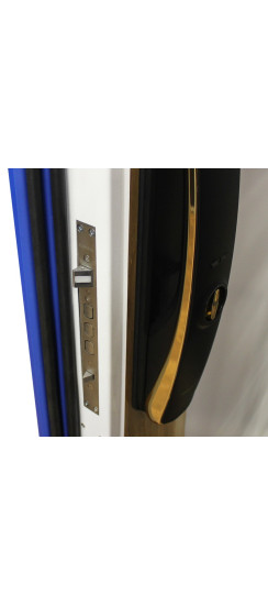 Стальная дверь "Lamborghini". Заказная модель. | Два цвета покраски коробки: внешняя сторона - 