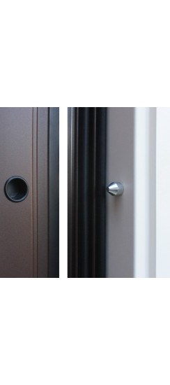 Стальная дверь "Фараон". Заказная модель. | Два цвета покрытия коробки: внешняя сторона - 