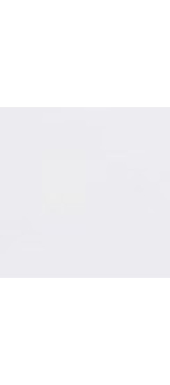 Стальная дверь "Альфа" с зеркалом. Заказная модель. | Порошковое покрытие 