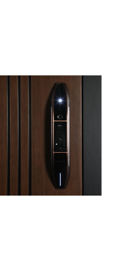 Стальная дверь "Фиджи". Заказная модель. | Порошковое покрытие 