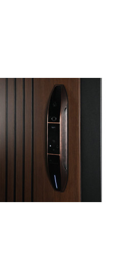 Стальная дверь "Фиджи". Заказная модель. | Порошковое покрытие 