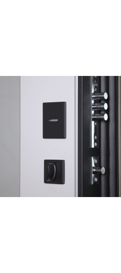 Стальная дверь "Авангард" с зеркалом | Порошковое покрытие 