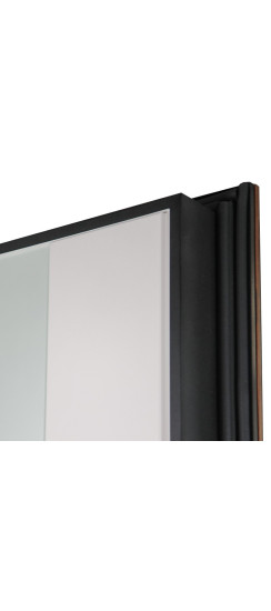 Стальная дверь "Фаворит" с матовым зеркалом. Заказная модель. | Порошковое покрытие 