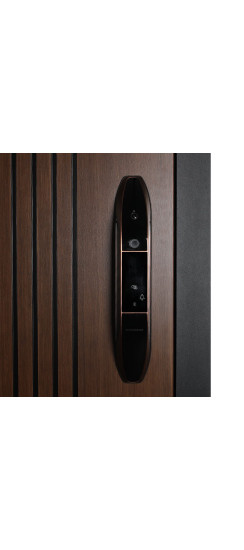 Стальная дверь "Фиджи". Заказная модель. | Порошковое покрытие 