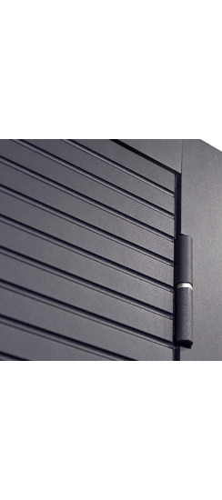 Стальная дверь "Dominica" с зеркалом. Заказная модель. | Порошковое покрытие 