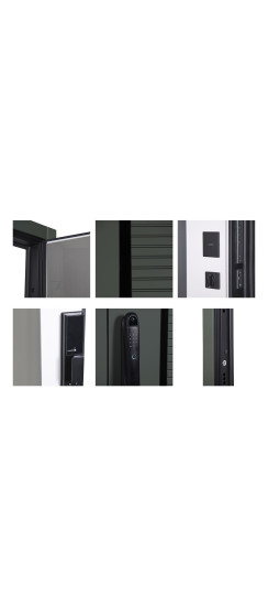 Стальная дверь "Ferrum" с зеркалом (биометрический замок). Заказная модель. | Порошковое покрытие 