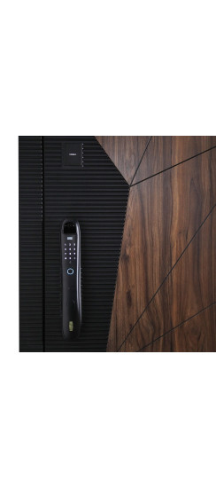 Стальная дверь "Берилл" (биометрический замок DZ 888). Заказная модель. | Порошковое покрытие 