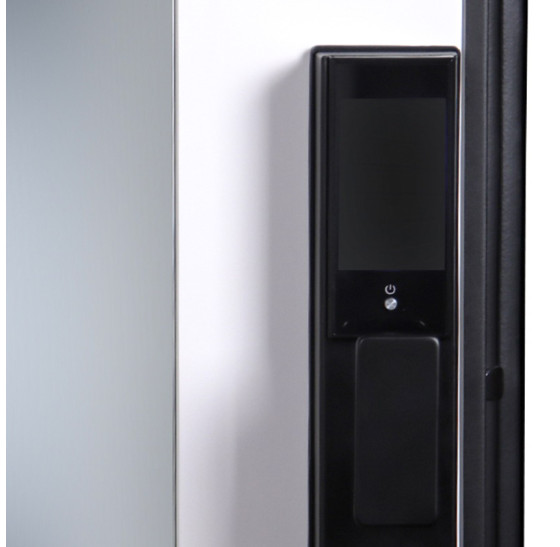 Стальная дверь "Loft" с зеркалом (биометрический замок) | Порошковое покрытие 