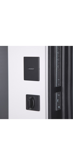 Стальная дверь "Ferrum" с зеркалом (биометрический замок). Заказная модель. | Порошковое покрытие 