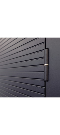 Стальная дверь "Dominica" с зеркалом. Заказная модель. | Порошковое покрытие 