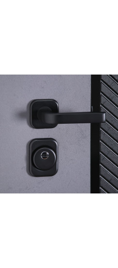 Стальная дверь "Рондо". Заказная модель. | Порошковое покрытие 