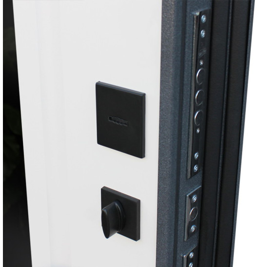 Стальная дверь "Арктика" с зеркалом (терморазрыв 3к). Заказная модель. | Порошковое покрытие 