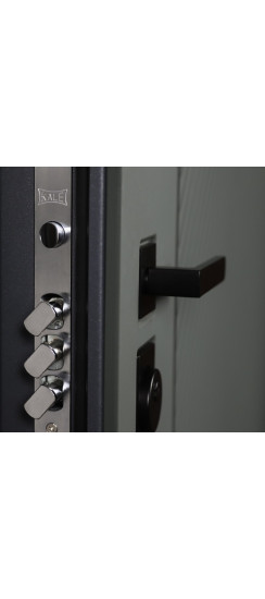 Стальная дверь "Форпост". Заказная модель. | Порошковое покрытие 