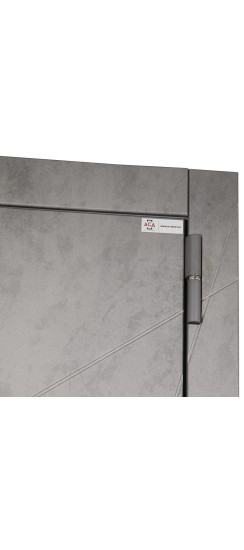 Стальная дверь "Сантос". Заказная модель. | Порошковое покрытие 