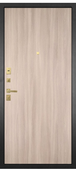 Дверь Гранит Ардеко | Внешняя МДФ-панель и наличники: цвет «Квазар черный», 10мм